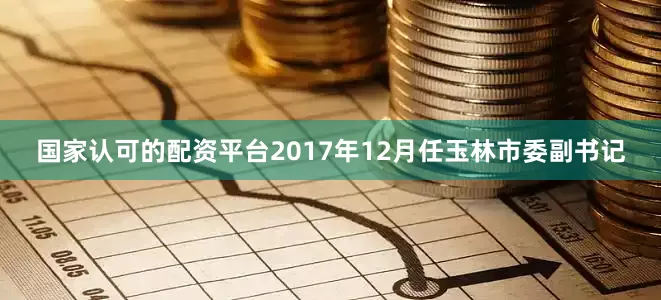 国家认可的配资平台2017年12月任玉林市委副书记