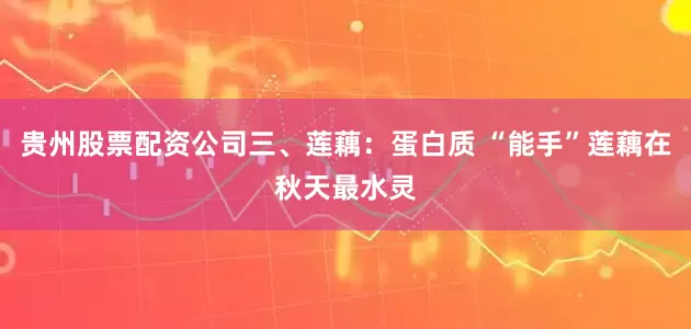 贵州股票配资公司三、莲藕：蛋白质 “能手”莲藕在秋天最水灵