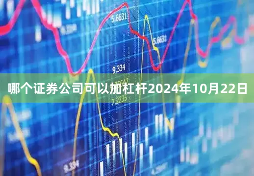 哪个证券公司可以加杠杆2024年10月22日